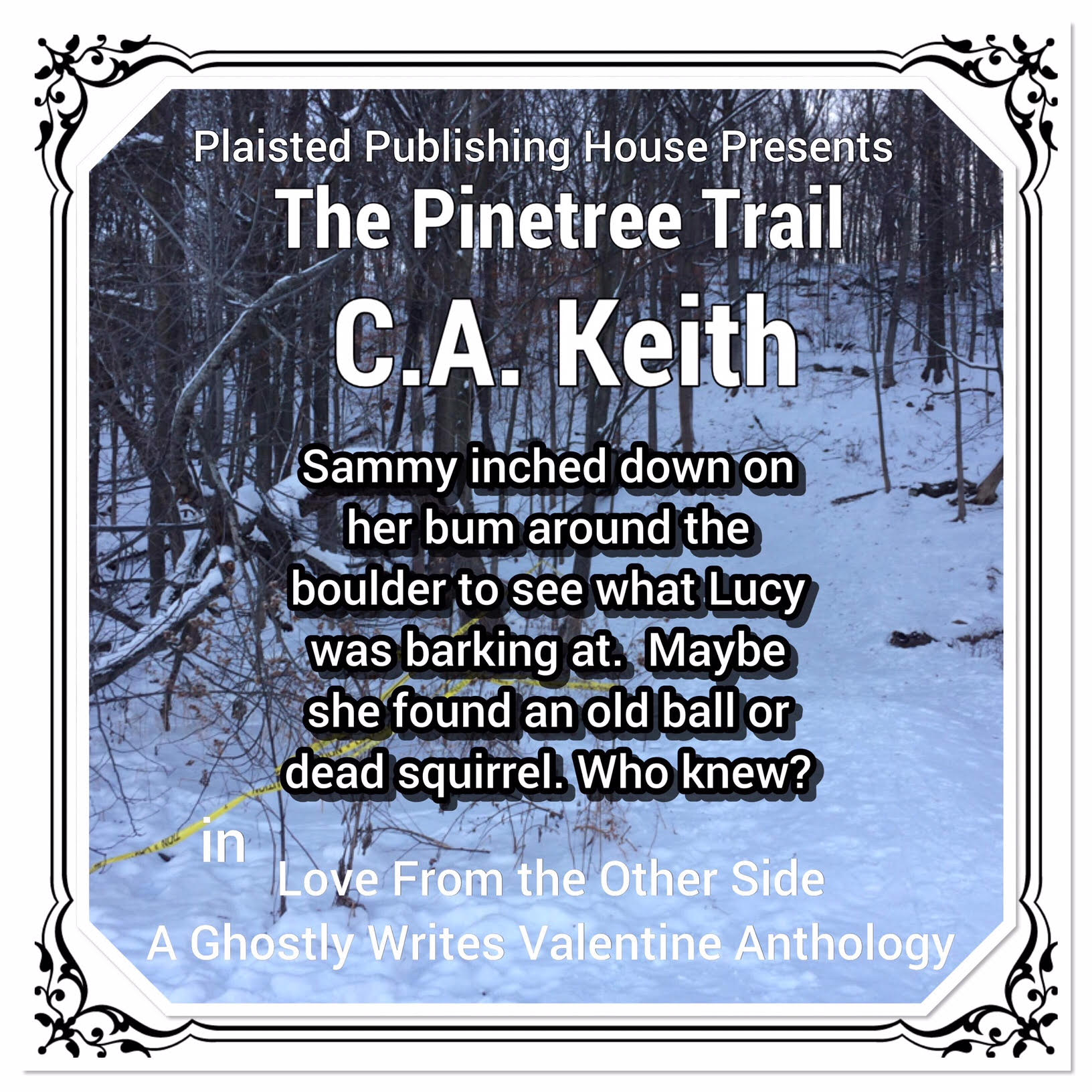 Pinetree Trail