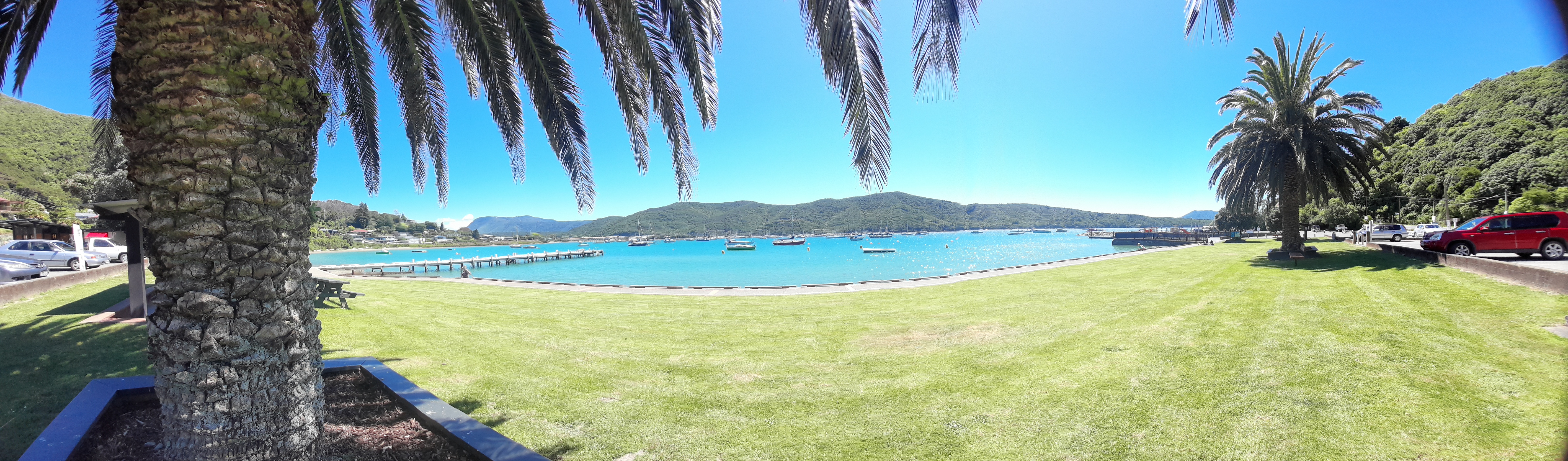Photos of Waikawa Bay, Picton. Palm Tree on the left looking out to the Sounds.